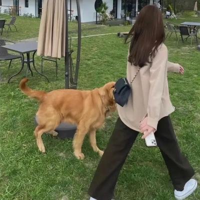 查理说
